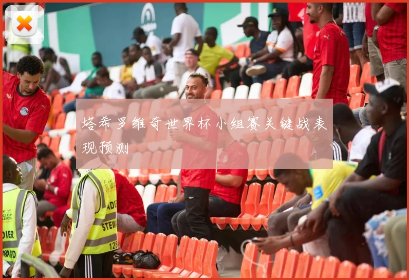 塔希罗维奇世界杯小组赛关键战表现预测