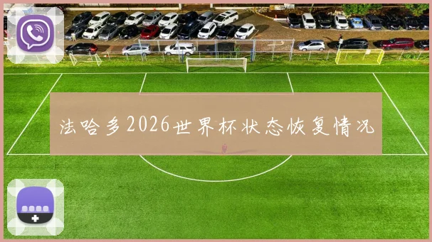 法哈多2026世界杯状态恢复情况