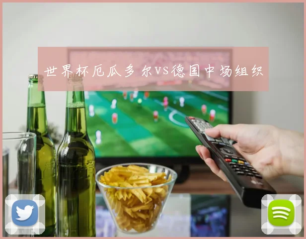 世界杯厄瓜多尔vs德国中场组织