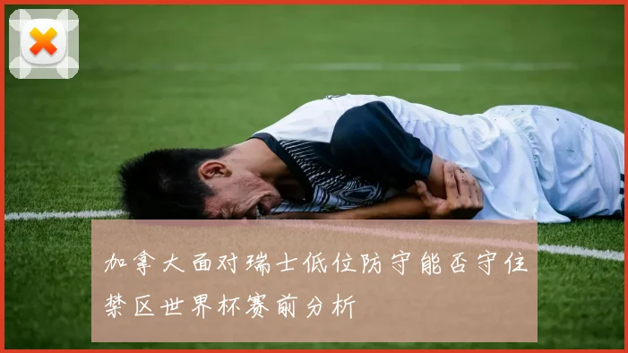 加拿大面对瑞士低位防守能否守住禁区世界杯赛前分析