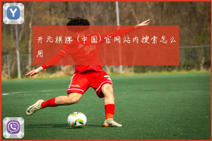 开元棋牌 (中国)官网站内搜索怎么用