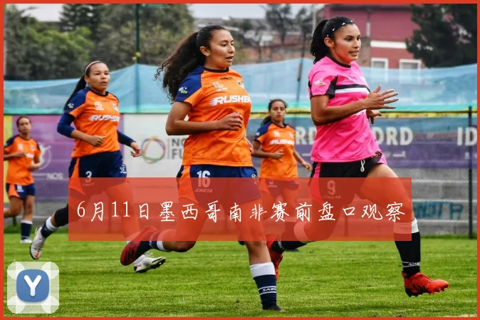 6月11日墨西哥南非赛前盘口观察
